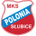 Polonia Słubice